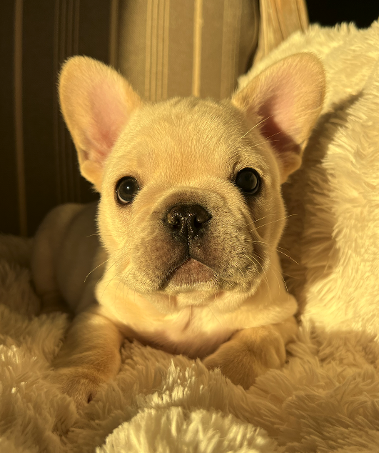 Walter